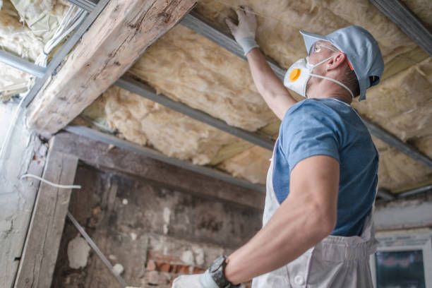 Best Types of Insulation in Charter Oak, CA